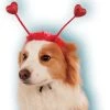 Rubies Pet Red Heart Boppers