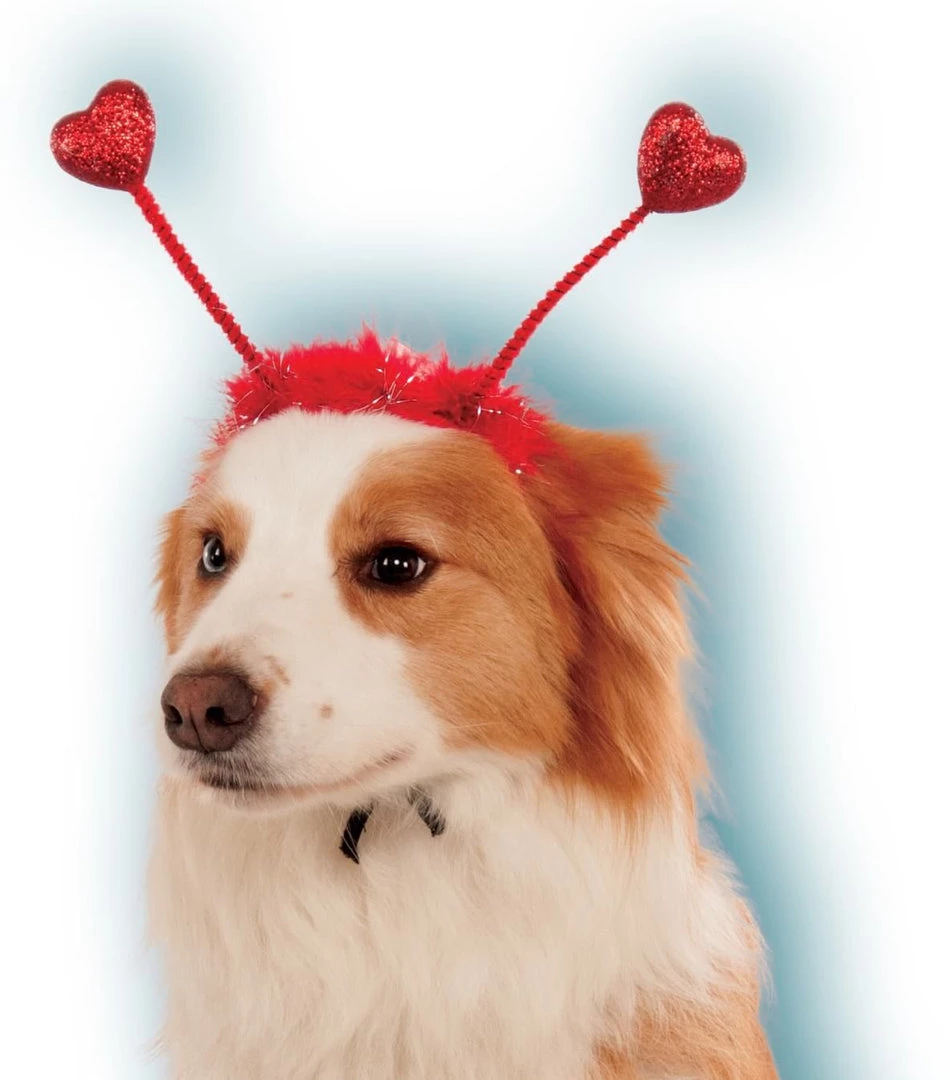 Rubies Pet Red Heart Boppers 3 Rubies Pet Red Heart Boppers