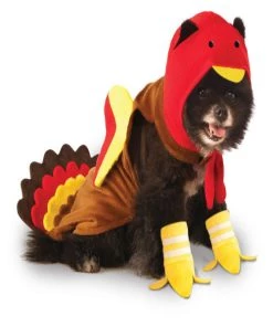 Rubies Rubie's Turkey Dog Costume Holiday Pet Costumes
