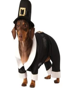 Rubies Rubie's Pilgrim Boy Dog Costume Holiday Pet Costumes