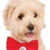 Rubies Pets Accessories Rubie's Costume Company Red Pet Bowtie