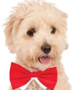 Rubies Pets Accessories Rubie's Costume Company Red Pet Bowtie