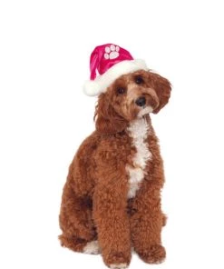 Pets Accessories Rubies Pink Santa Hat Pet Costume Accessory