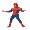 Rubies Kids Spider-Man: Into The Spider-Verse Deluxe Peter Parker Spider-Man Costume