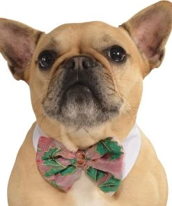 Rubies Pets Accessories Dog Poinsettia Bow Tie