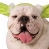 Rubies Pet Yoda Dog Ears