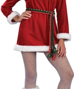 Rubies Women's Miss Noelle Costume