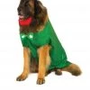 Rubies Holiday Pet Costumes Big Dog Leprechaun Costume