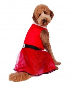 Rubies Big Dog Santa's Sweetie Costume Holiday Pet Costumes
