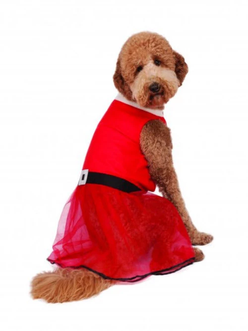 Rubies Big Dog Santa's Sweetie Costume Holiday Pet Costumes 3 Rubies Big Dog Santa's Sweetie Costume Holiday Pet Costumes
