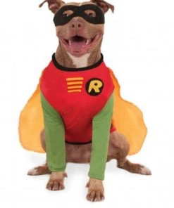 Rubies DC Comics Teen Titans Robin Pet Costume