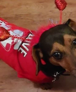 Rubies Pet Red Heart Boppers 7 Rubies Pet Red Heart Boppers