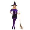 Music Legs Devious Witch Womens Costume Witches Vampire And Devils